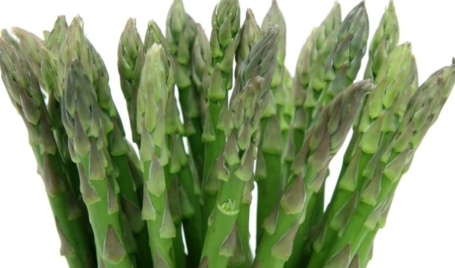 Afrodisiaci naturali: asparagi, radici e rizomi