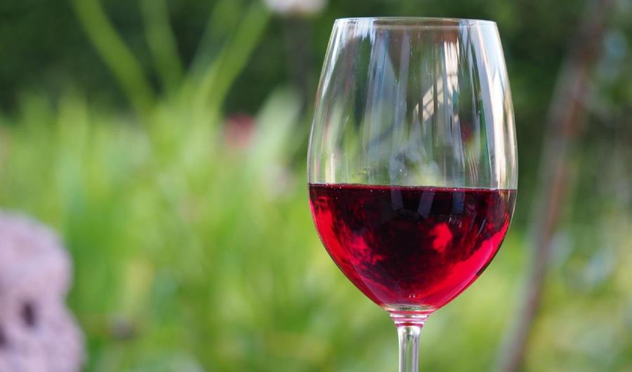 Antiossidanti del vino rosso: la nuova cura per infarto e ictus